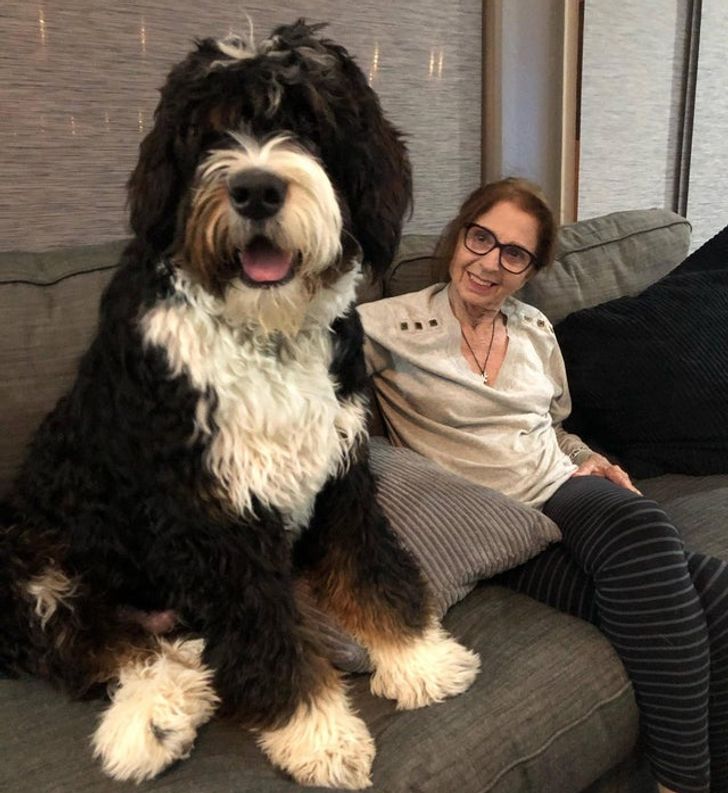 e110d55e5f9c35af13c526d949 e110d55e5f9c35af13c526d949