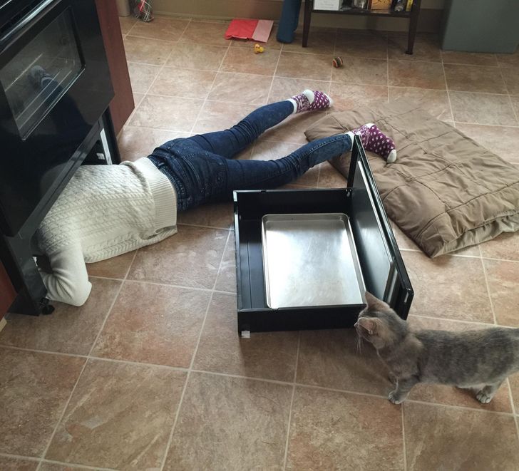 e11be65ead96ae87c7fc33b691