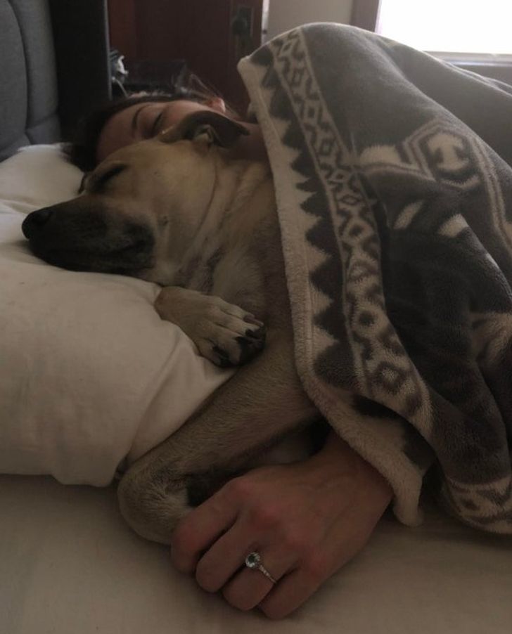 e122845dfb8655224bcdd373cb