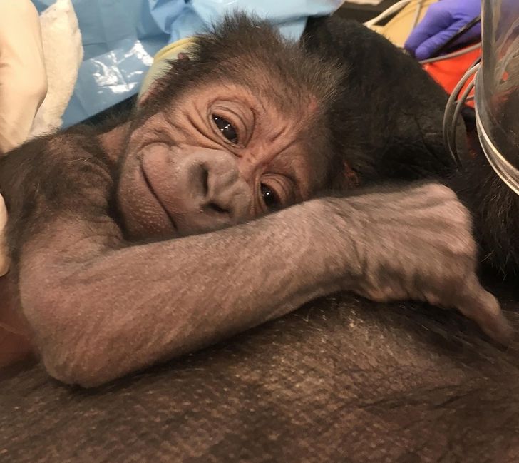 e122eb514abd01d4d3411bbaaf