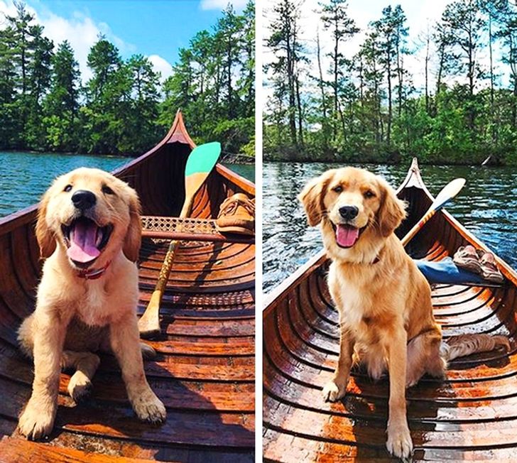 e1262a5d0db7f2585d0c325217