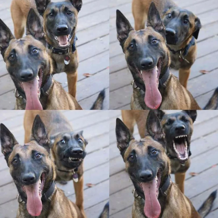 e12bf15465b9e8ae8fb0cf96c4 e12bf15465b9e8ae8fb0cf96c4