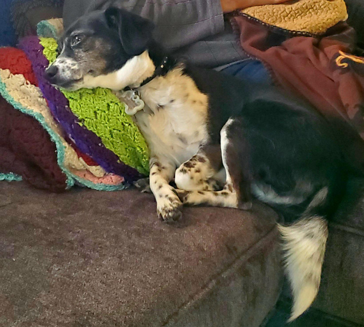 e130355e11bc157bd7bf6d49cb e130355e11bc157bd7bf6d49cb