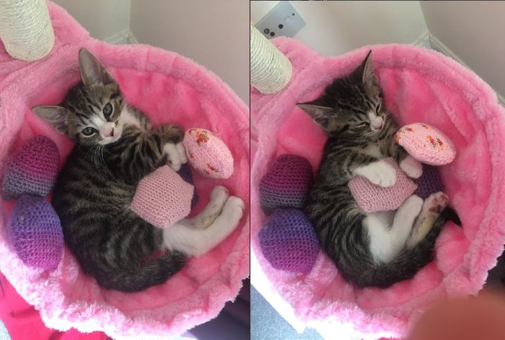 e1319e5d39a733f5c82f4e9cfe