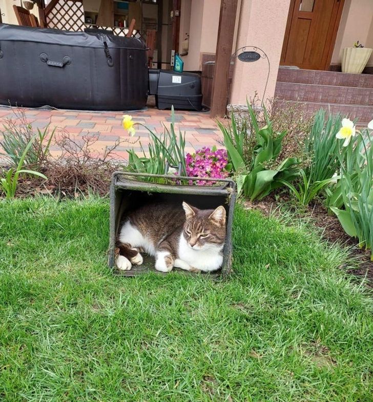 e13ef55ceea30ee4d1c8bf95b1