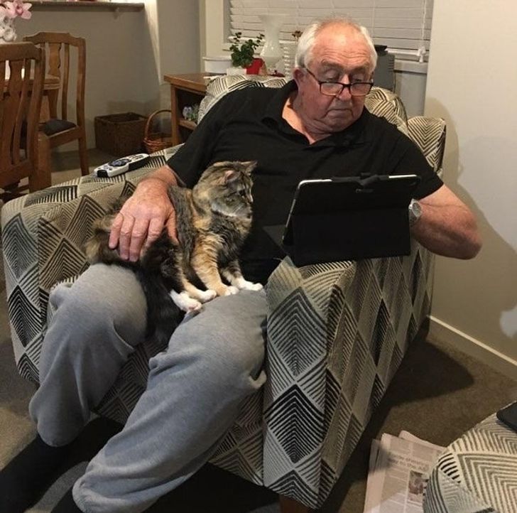 e13f8f5822ad26403fa8c3ee7e