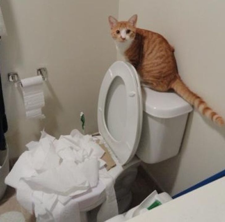 e1447256adb267f5fe1138b4b2