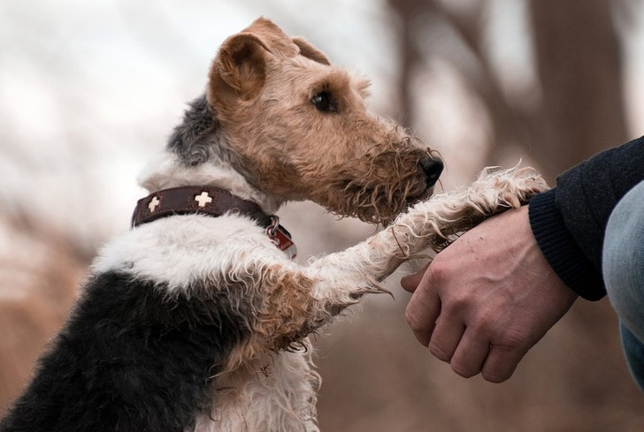 e147c358b4b49ad9f9f654fea9