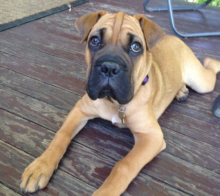 e14b7a5e52a089765c2beb0fab