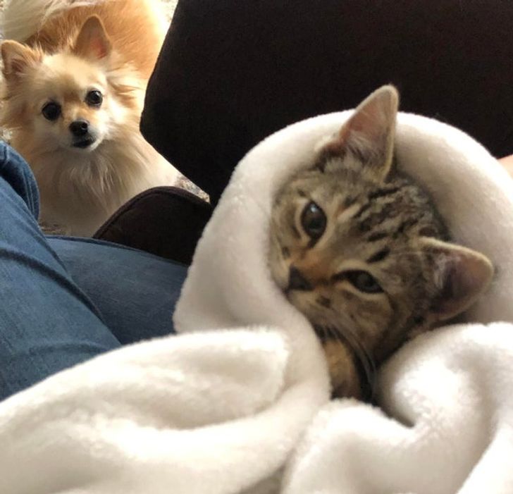 e153405ae289db0cbc57e7f1e0