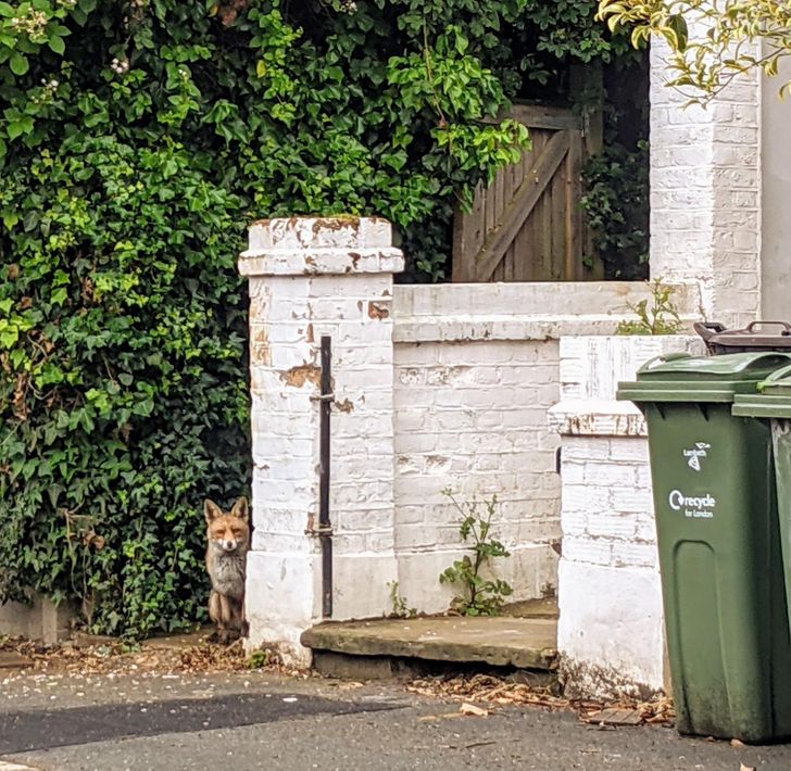 e156095664af46e689f79439c2