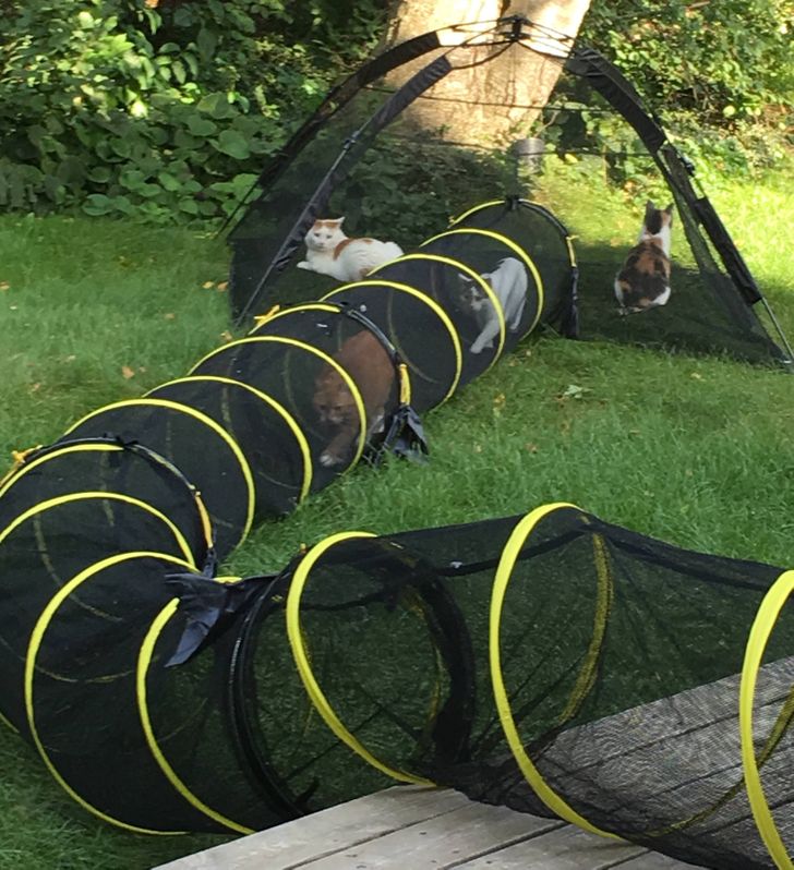 e15f5c5f39bd981cb0bee20320