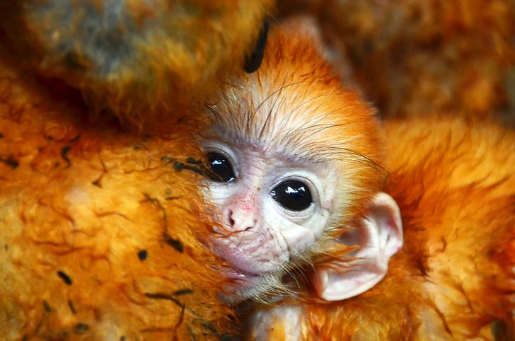 e1615f51aebdf58dd97a5c3a53