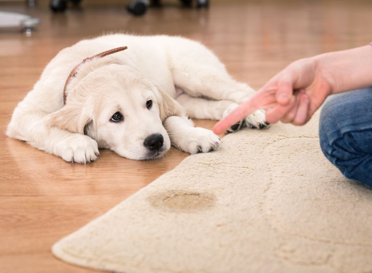 e167785eb7bc5496450ccbffc4