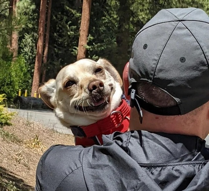 e16d65505c88cd9e680d470660