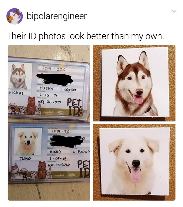 e16dda54429fbe73e06d4b4590