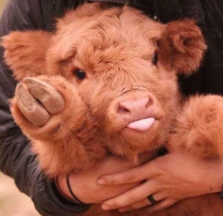 e16f1e5efaa567ffaac419f7be