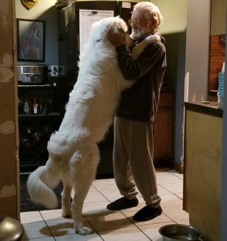 e1734554e3b8ee06c61de25542