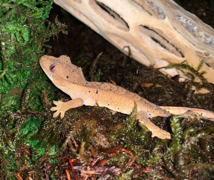 e174ba581088d887dec3888264