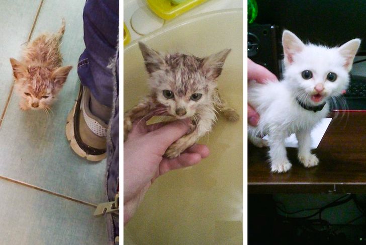 e1761659949d8edcffaab59966