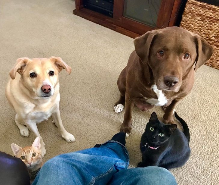 e1812a5f36a1af55a48897389a