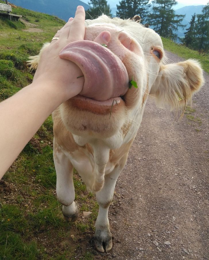 e186f359acb2db2d2a7011badf