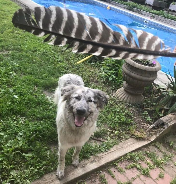 e18f5f5389959d9144493d1a79 e18f5f5389959d9144493d1a79