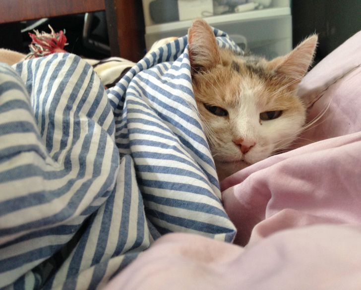 e194035b8abaa20d9e7ae2a9b8