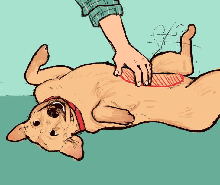 e19433536da9c106a777e2dc34