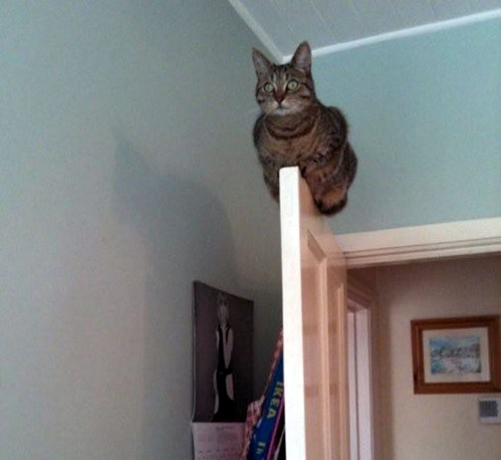 e1a72d5c17a6e3ce35bd0b8e8a