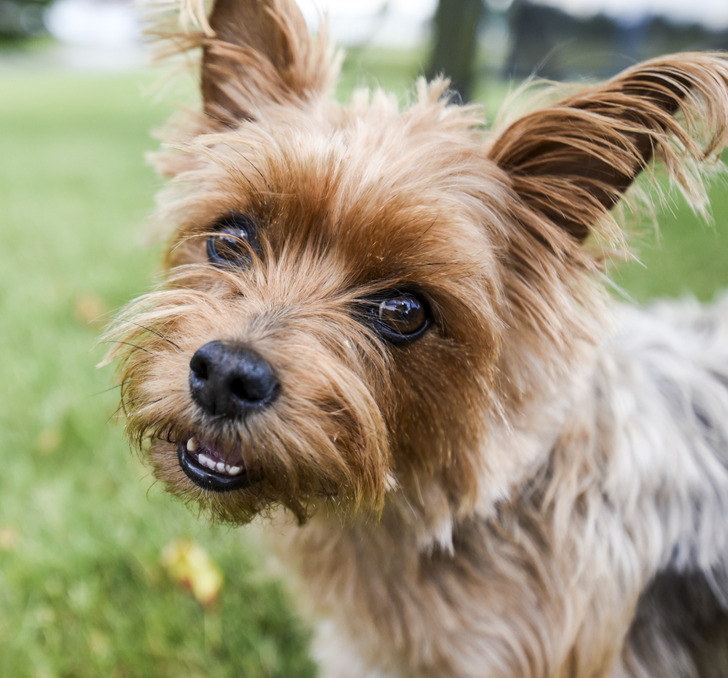 e1aadc5b848bed0a6dfed53470