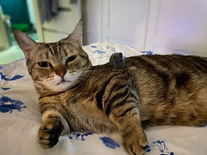 e1ae2c5914bafa5ddc24caca66