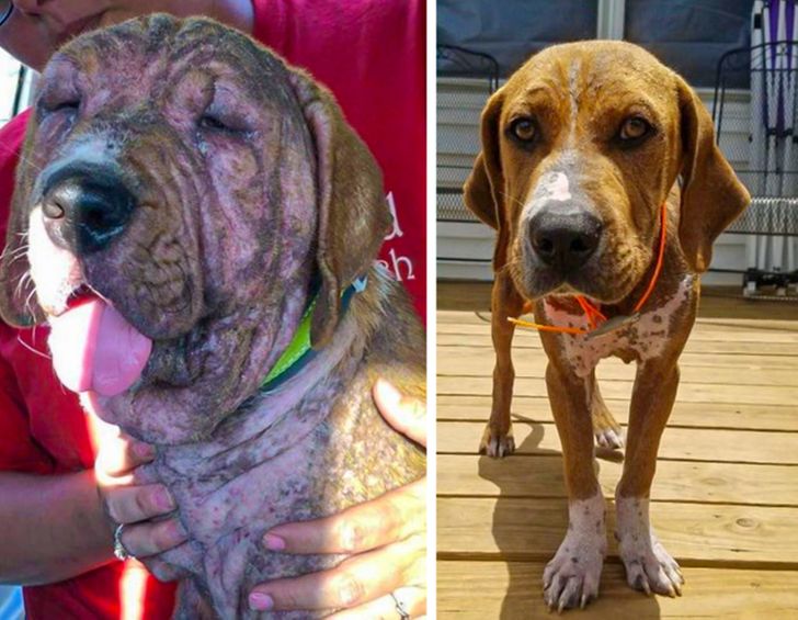 e1b0a25f0cb17e15d9b7b6e472