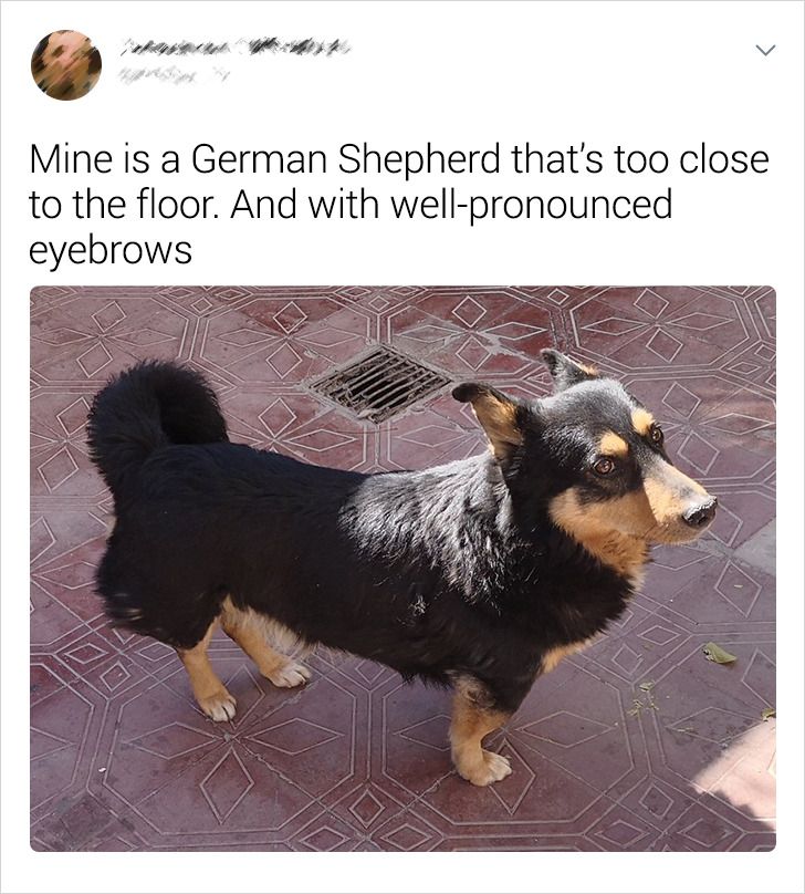 e1bad75313a30a6af183d68a47