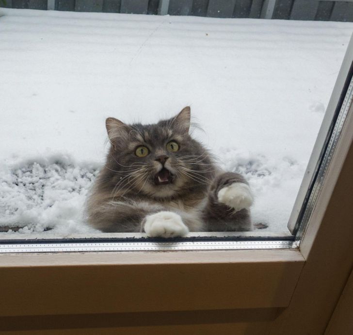 e1c2295975b41ac9f4b448b8b7