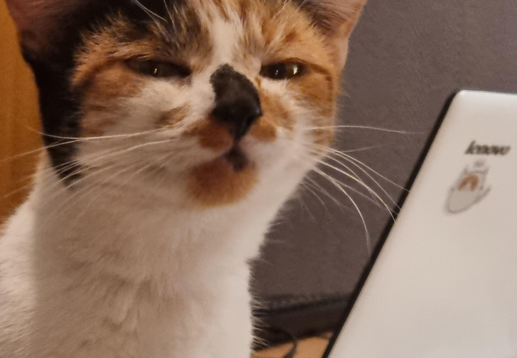 e1c5aa5eb4bfb8be831b8b4feb