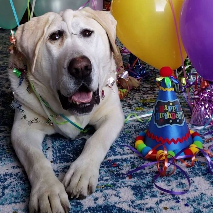 e1d3f95d888baa0f7f06d3b4d1