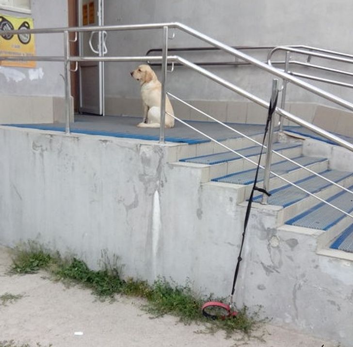 e1dbcd5db0a6816622eff520b8