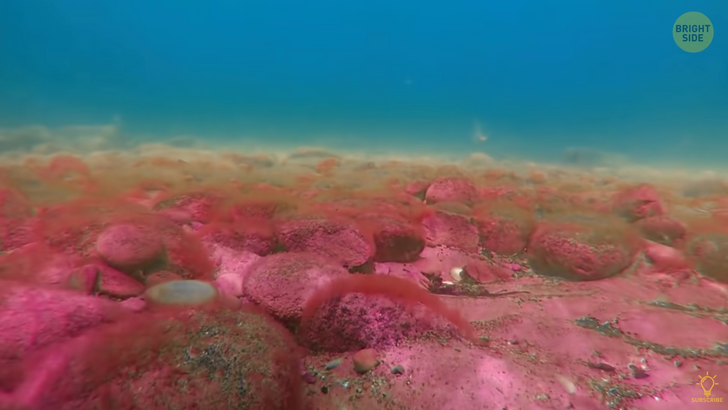 e1e9145bbd9497e0740666eb8f