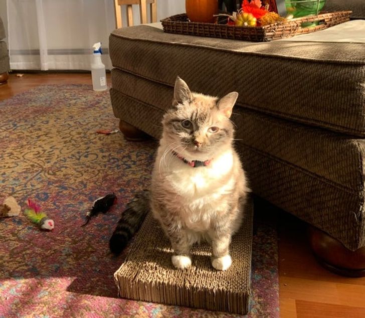 e1e943594398f6e768d107cb61