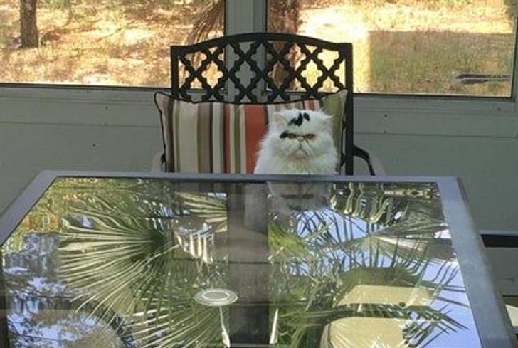 e1f2fc5c14bb581cedfaaa0987