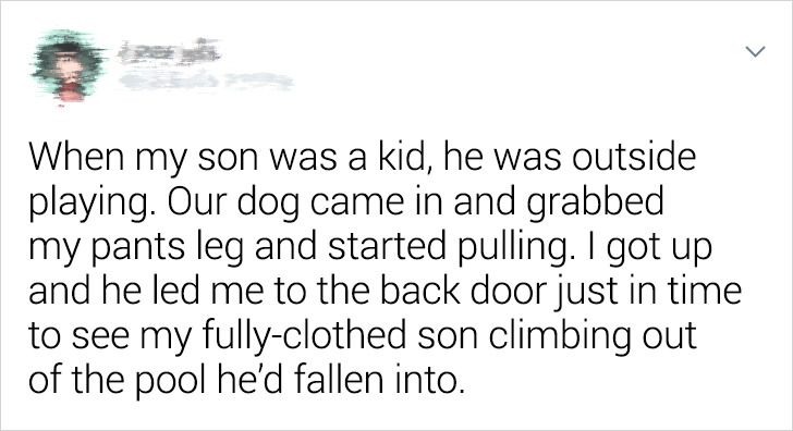 e1f35057af8b8ac1854a935633