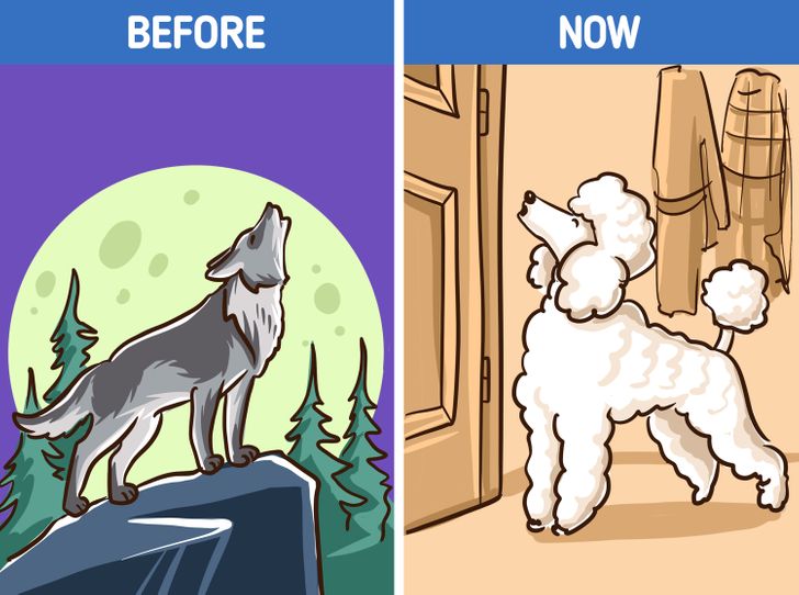 e1f60e5af3a5fadfc42667e032