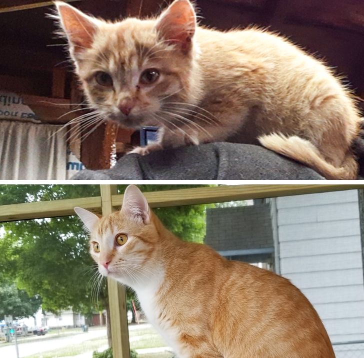 e203135ceb87c659701b85dbe7