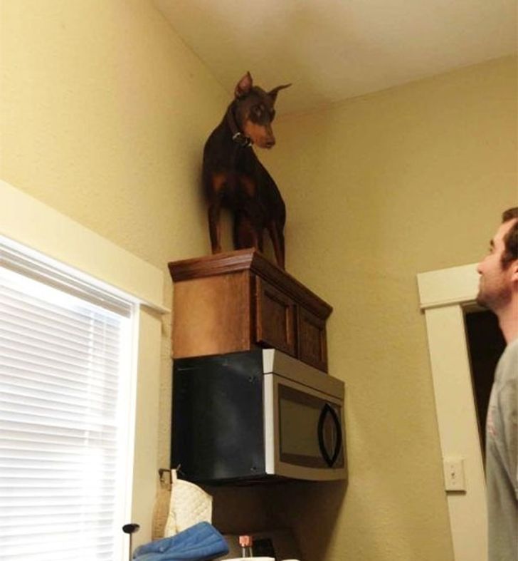 e2038458ea8b9d9b4f2d8e99b8