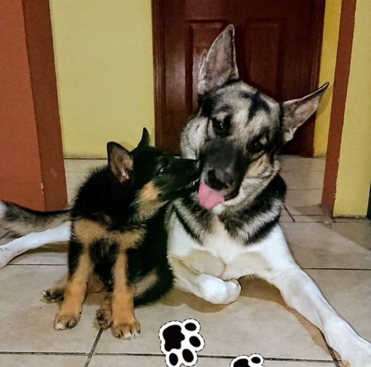 e2097b587b94823a7eae25a280