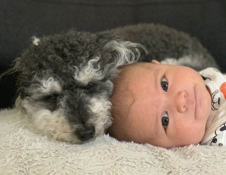 e2187659928fc3ee653df5b492