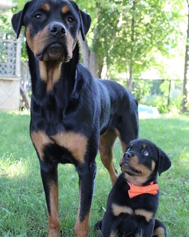 e21f7a5da88adba0d239f28f5b