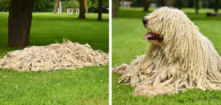 e21ffd5eaaaedf7b1477727259