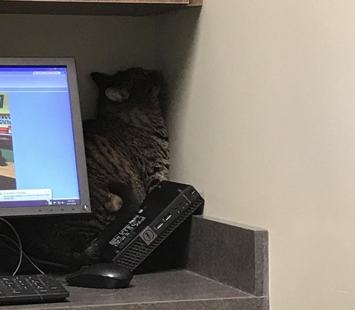 e2241f549aaef7ea00e1d00ad5